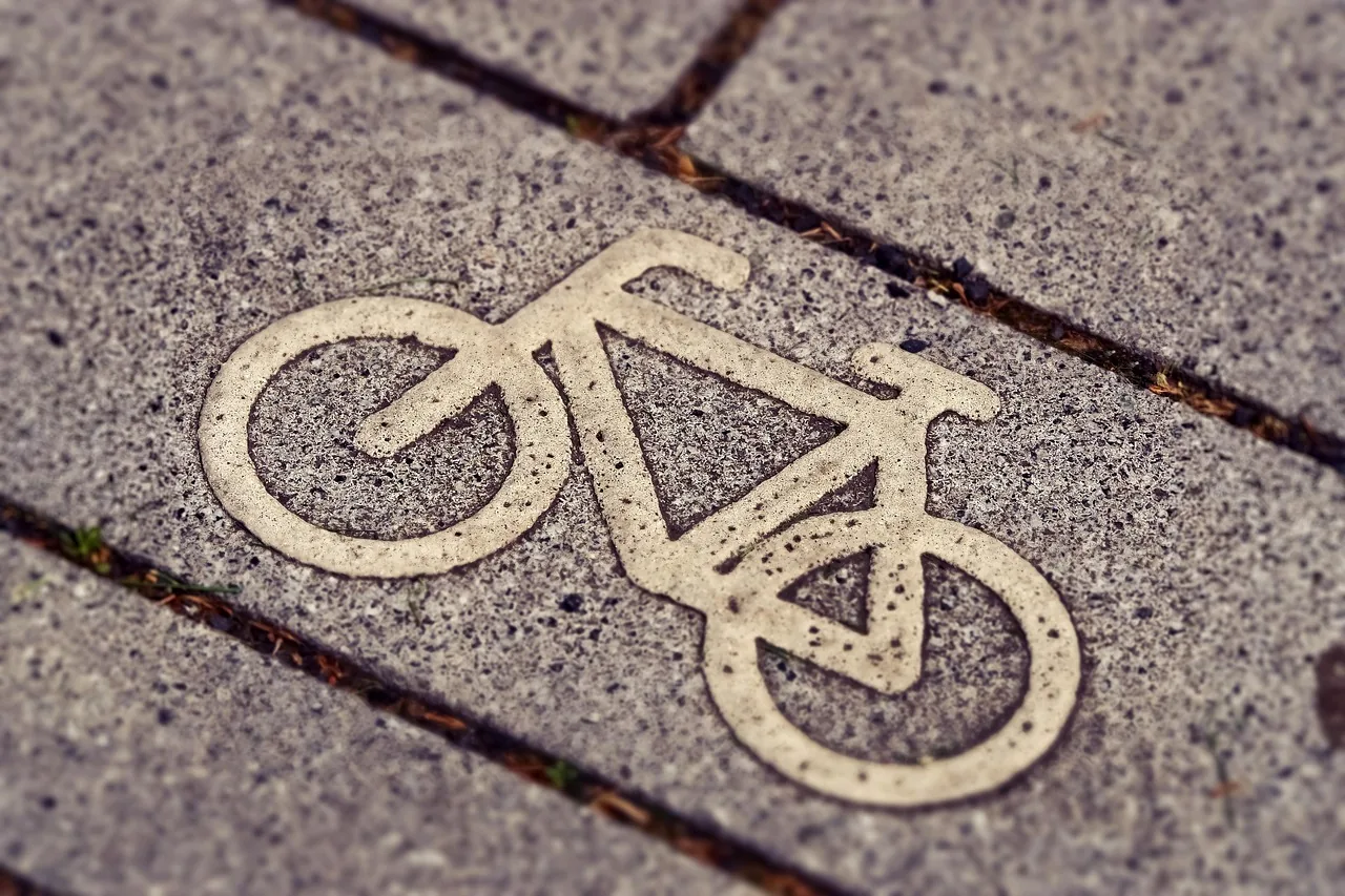 bicycle path, road sign, bicycle sign, road marking, cycle path, bicycle path, road sign, road sign, road sign, road sig