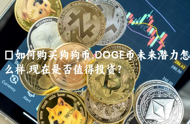 ​如何购买狗狗币,DOGE币未来潜力怎么......