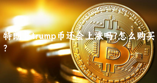 特朗普trump币还会上涨吗?怎么购买？...