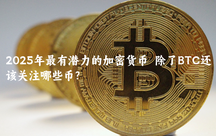 2025年最有潜力的加密货币  除了BT......