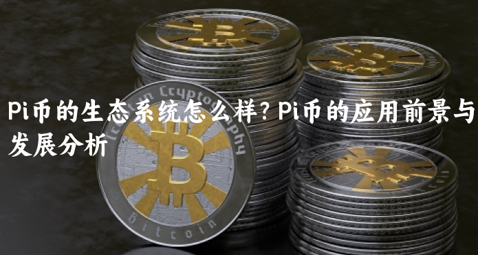Pi币的生态系统怎么样？Pi币的应用前景与发展分析