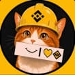 Binance CatLOGO