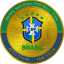 BITCI Brazil National Football Team Fan TokenLOGO