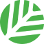 CanopyLOGO