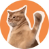 CatSlapLOGO