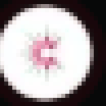 CelesticaLOGO