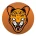 BabyChita TokenLOGO