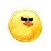 DuckChainLOGO