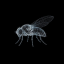 FlybrainLOGO