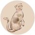 Madonna del GattoLOGO