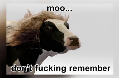 Memory cow MooLOGO
