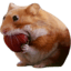 nomnomLOGO