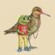 Peace FrogLOGO