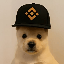 PUP (pupxbnb.com)LOGO