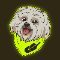 Robinhood DogLOGO