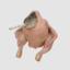Smoking Chicken FishLOGO