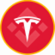 Tesla (bStocks Tokenized Stock)LOGO