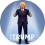 Trump Cards Fraction TokenLOGO