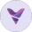 V网通证LOGO