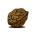 核桃LOGO