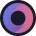 WormFiLogo